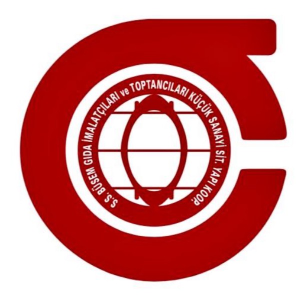 Busem Logo