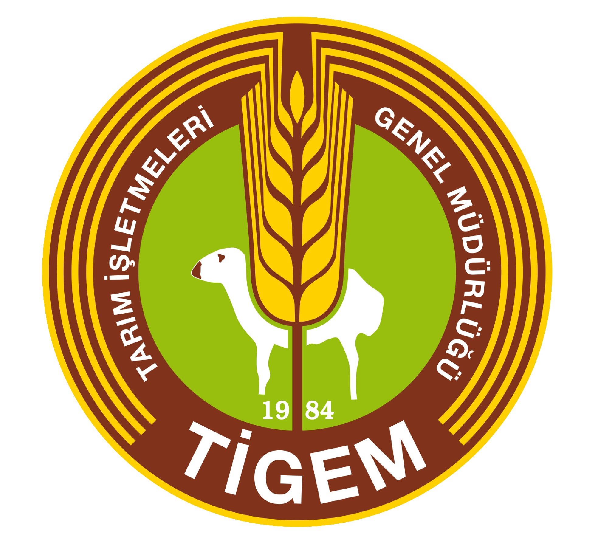Tigem Logo